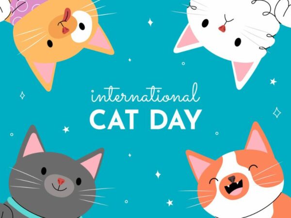 Download 10+ Background Mèo Vector Đẹp, Link GG Drive