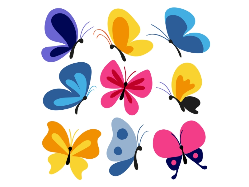 Mẫu 10+ Vector Butterfly