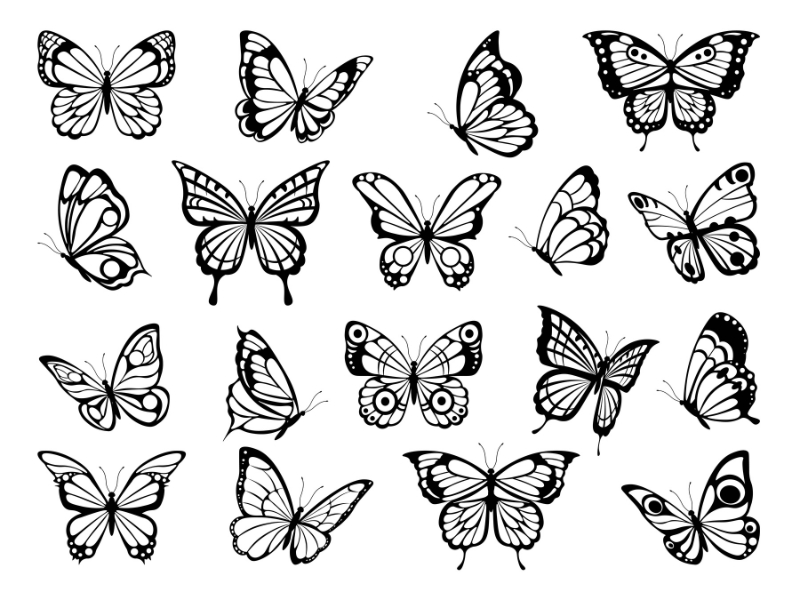 Mẫu 10+ Vector Butterfly