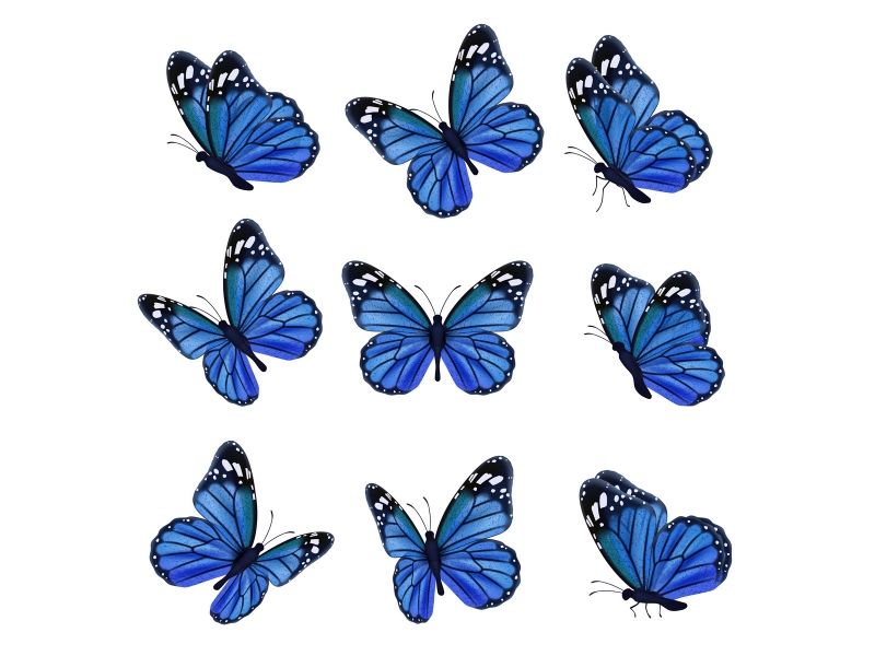 Mẫu 10+ Vector Butterfly