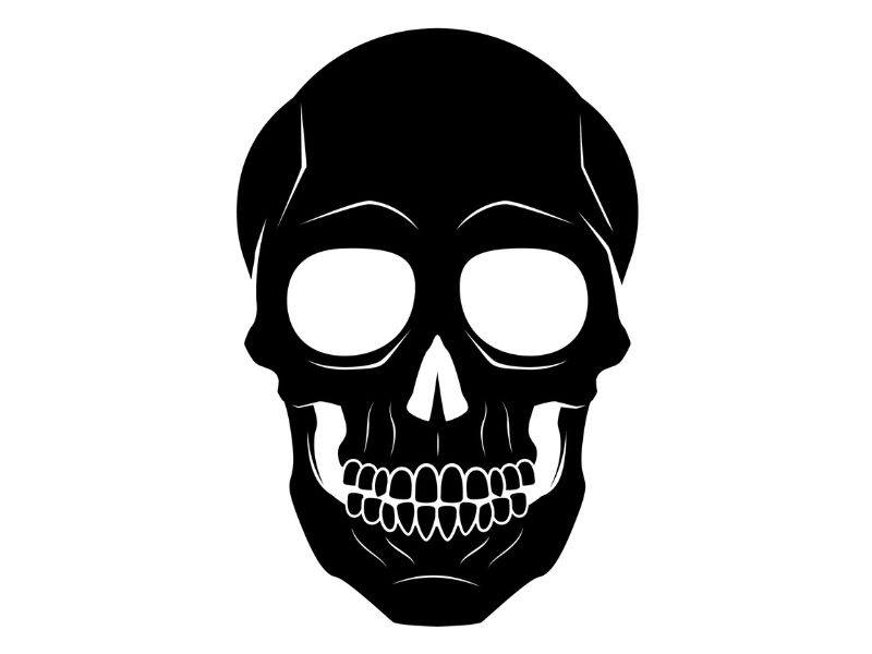 Download 10+ Mẫu Skull Vector Đẹp, Link GG Drive