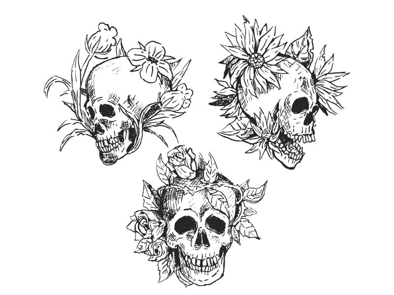 Download 10+ Mẫu Skull Vector Đẹp, Link GG Drive