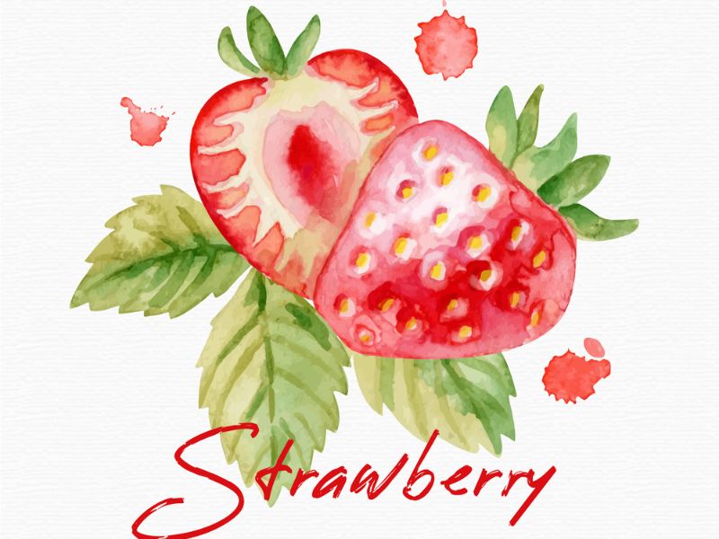 Download 10+ File Strawberry Vector Đẹp, Link GG Drive