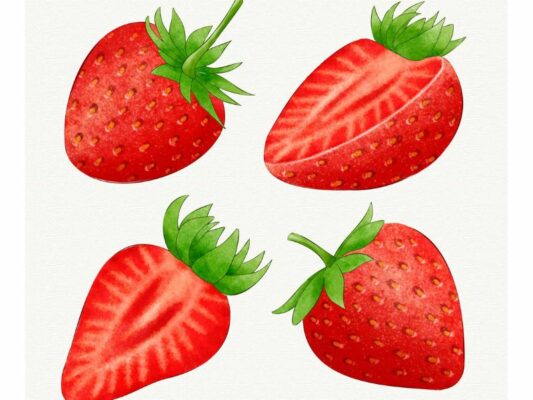 Download 10+ File Strawberry Vector Đẹp, Link GG Drive