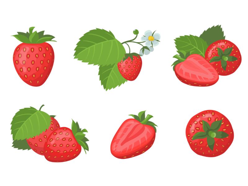 Download 10+ File Strawberry Vector Đẹp, Link GG Drive