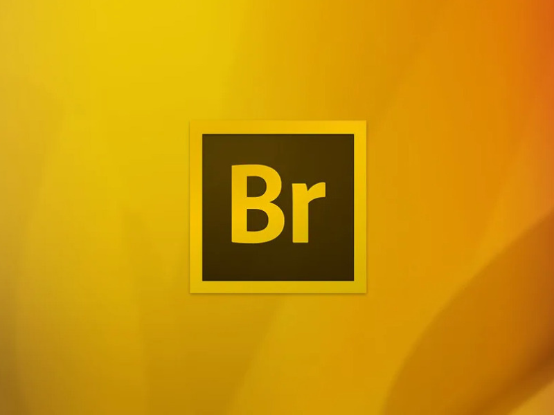 Phần mềm Adobe Bridge 2024