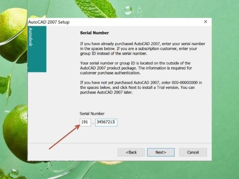 Bạn nhập 000-00000000 hoặc 191-34567213 vào ô Serial Number rồi nhấn Next