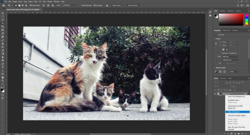 Cấu hình để tải Photoshop CC 2022