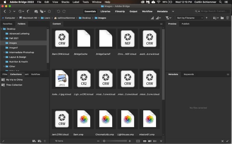 Hướng dẫn cài đặt Adobe Bridge 2022