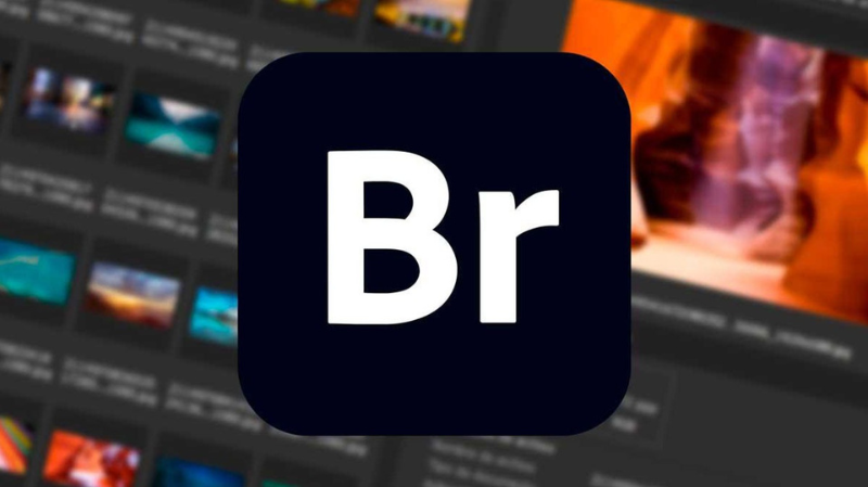 Giới thiệu Adobe Bridge 2021