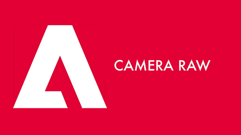 Tải Adobe Camera Raw CC 2024 Full Crack - Link GG Drive