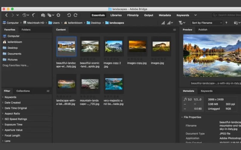 Download Adobe Bridge 2025 Nhanh Full Crack - Link GG Drive 4 Download Adobe Bridge 2025 Nhanh Full Crack - Link GG Drive